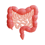 Gastrointestinal