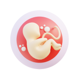 Obstetrician / Gynecologist (OB-GYN)
