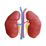 Urologist