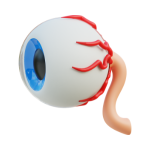 Ocular